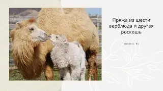 Пряжа из шерсти верблюда и другая роскошь