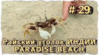 ПЛЯЖ ПАРАДАЙЗ НА ГОА #центрярай #гоа #арамболь #индия #путешествия