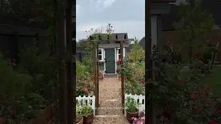 this part of my garden… MAY 10 #bloom #gardentour #spring #texas #zone9b #backyard #shorts