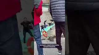 Автобус упал в реку в Петербурге: есть погибшие 