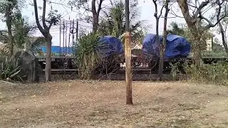 KERETA BARANG MELINTAS
