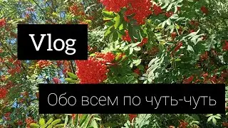 vlog обо всем по чуть-чуть
