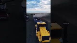13 августа 2024 г.