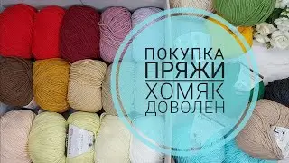 Покупка пряжи / Порадовала хомяка / Ярнарт Джинс