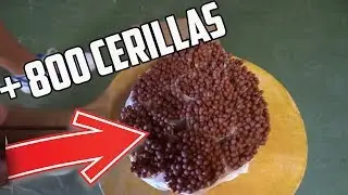 ¿QUE PASA SI QUEMAMOS +800 CERILLAS?