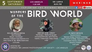 Wonders of the Bird World