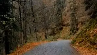 Akif'in Ağıtı - Elif Özer