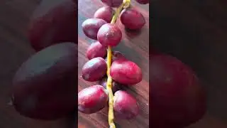 which one is your favourite? #viralvideo #youtubeshorts #nature #fruits #viralshorts