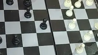 Chess: Playing Chess. 