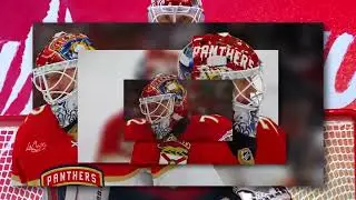 10 Hours of Relaxing Music and Sergei Bobrovsky / Ultimate Stress Relief, Deep Sleep and Meditation