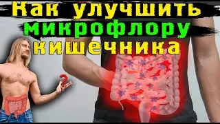 Как улучшить микрофлору кишечника