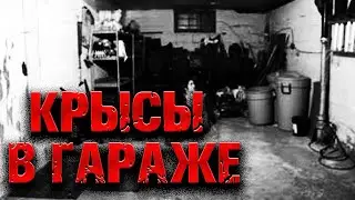 Страшная история на ночь | КРЫСЫ В ГАРАЖЕ | Черный Рик