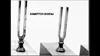 Что будет? Свершилось. Камертон войны.