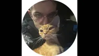 ЭВЕЛОН И СЭМ В УБЕЖИЩЕ