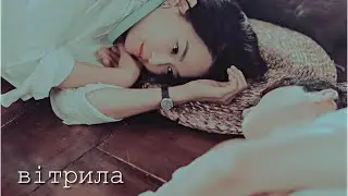 вітрила