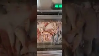 Кипр 2023. Досуг.