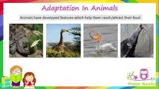 Adaptations in Animals Introduction - Module 2.1 (Chapter 2 - Olympiad Class 4 Science)