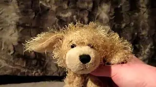 TheSuperdog2019 Trailer