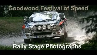 Goodwood Festival of Speed Rally Stage Photographs