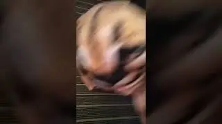 ну вот так как то 
