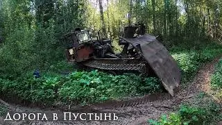 Поход в Рёконьскую пустынь / Сентябрь 2024