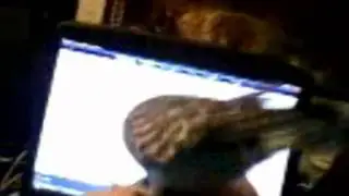 Мой Петя !  POPUGAI