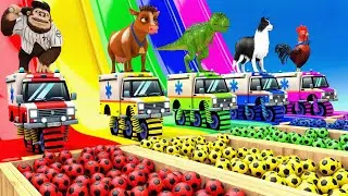 5 Giant Duck, Monkey, Piglet, chicken, dog, elephant, cow, Sheep, Transfiguration funny animal 2023