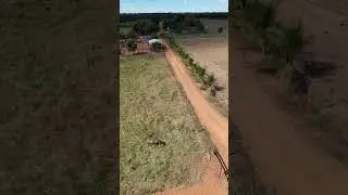Fazenda Aroeira, Barreiras BA próximo projeto de Mogno Africano