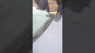 Перекрытие дороги(3)