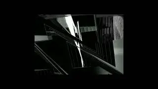Bergsonist - Otology
