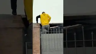 Lucky-lucky. Video author: @berenicerach1 