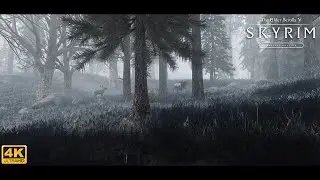 Skyrim Special Edition Ultra Modded 4K 2019 : Best Next Gen Graphics ! w/Modlist