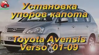 Установка упоров капота (амортизаторов) на Toyota Avensis Verso (www.upora.net)