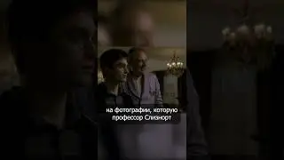 Беременная мама Гарри Поттера 