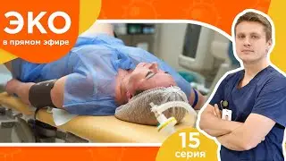 IVF Live - Episode 15 - Egg retrieval: How it went and what to expect