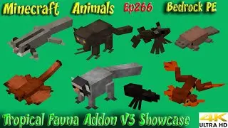 Tropical Fauna Addon V3 Showcase Animals in Minecraft Bedrock PE Minecraft Animals Ep266