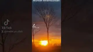 Allah's hu ekber