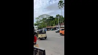 Walking Tour - Sri Lanka 🇱🇰 2023 (Vertical Video)