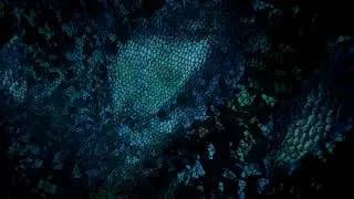 VID 20190411 200948