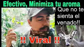 VIRAL EFECTIVO QUE NO TE HUELA EL VENADO MAÑOSO EN LA ESPERA MINIMIZADOR ORIGINALINDETECTABLE FACIL