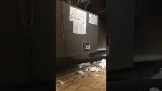 Longer Video Of My Attic