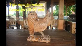 Tips menggunakan lensa kit 18-55 mm!