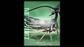 BRAZILIAN MAHORANGA || BLOODY BRAZIL || EDIT MMV || #jujutsukaisenedit #mahoraga #braziliantreehoper