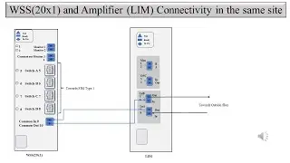 Physical Connectivity between Ciena WSS 20x1 to Amplifier LIM in Signal Flow of DWDM/CDC