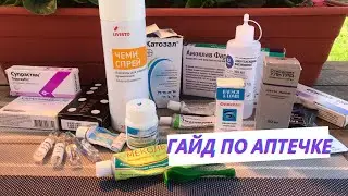 Гайд по аптечке для собак