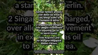 German farmers protest diesel tax break cuts. Singaporeans charged exporting gas oil to North Korea.