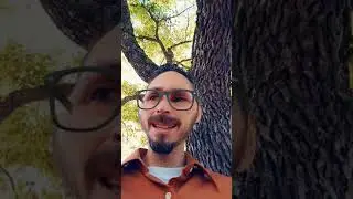 295 Funny Snapchat - Bird Houses