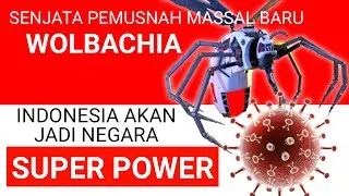 NYAMUK WOLBACHIA LEBIH GANAS DARI COVID-19