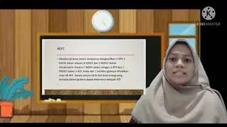Respirasi Pada Tumbuhan