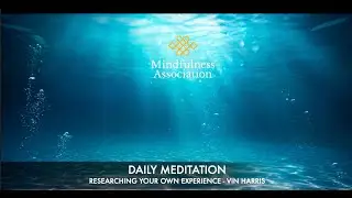 Daily Sit   -Researching your Own Experience - Vin Harris